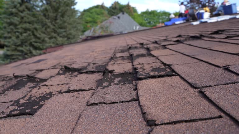 Fast & Reliable Emergency Roof Repairs in Rohnert Park, CA