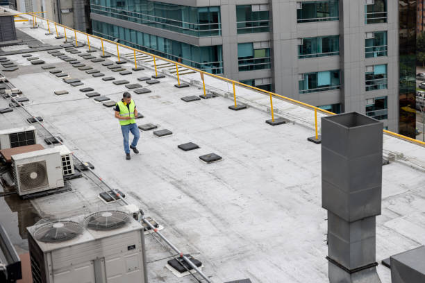 Best Cold Roofs  in Rohnert Park, CA