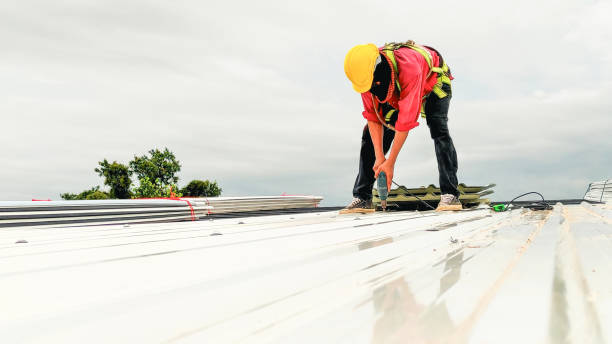 Best Sheet Metal Roofing  in Rohnert Park, CA